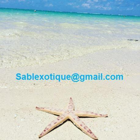 Pointe d'EsnySablexotique公寓 外观 照片